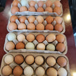 Eggs, farm-fresh, chicken